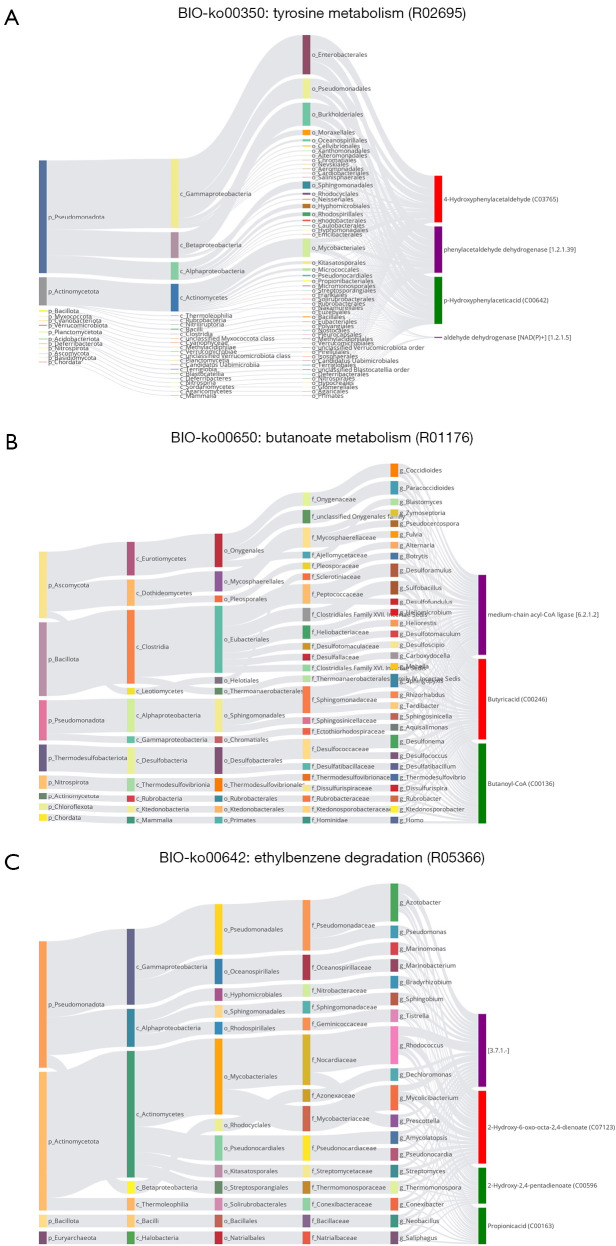 Gut microbiota-derived 4-hydroxyphenylacetic acid (4-HPAA) inhibits weight gain and is negatively associated with childhood obesity.