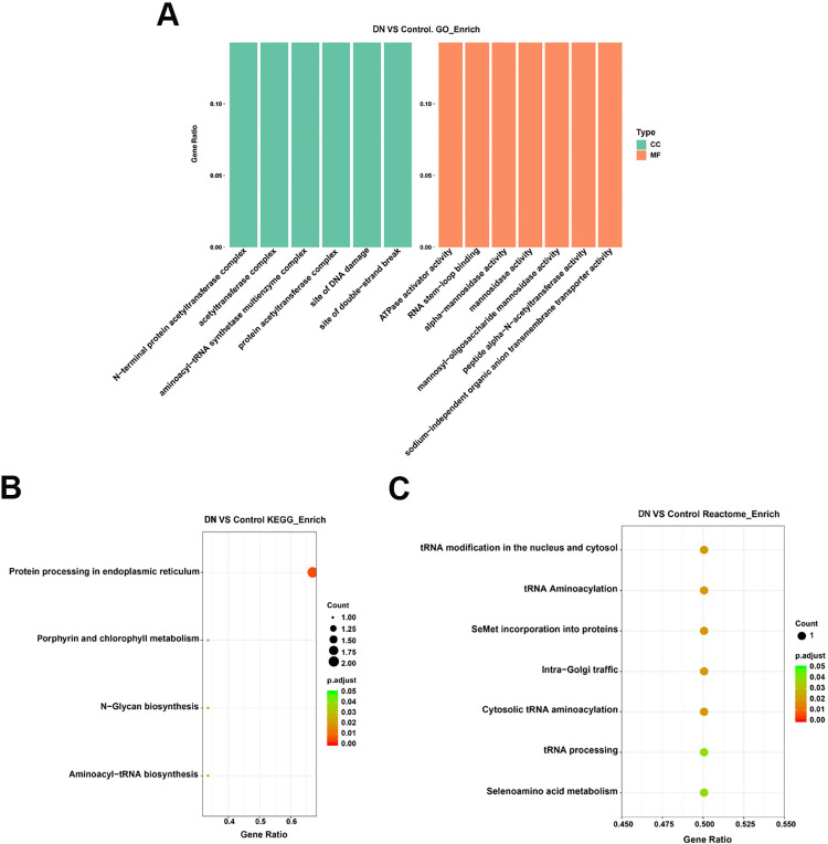 Circulating exosome-circRNAs mediated downregulation of FGF9 through ceRNA mechanism aggravates renal fibrosis in diabetic nephropathy.