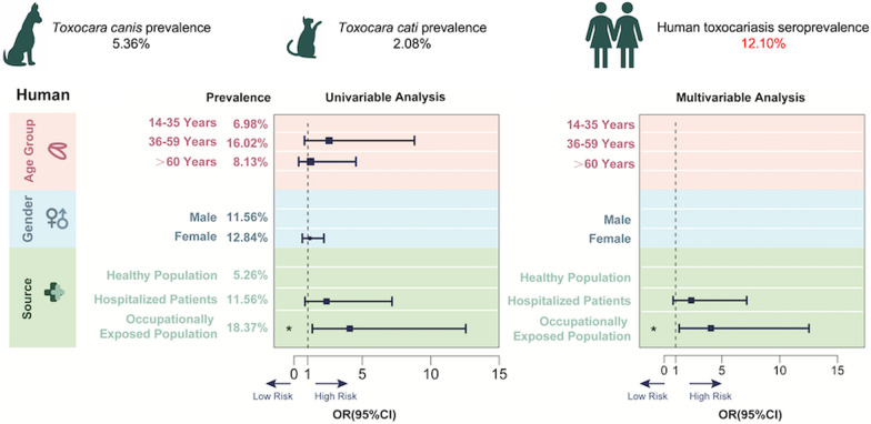 Prevalence of Toxocara infection and associated risk factors: a cross-sectional study in Zhejiang, China.