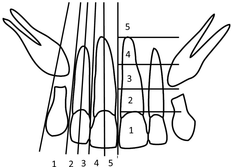 Abstract Image