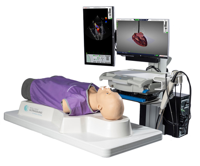 Low Frequency, High Complexity: Assessing Skill Decay in Transesophageal Echocardiography Post-Simulation Training.
