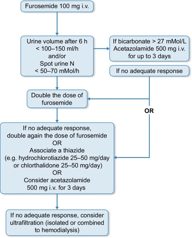 Decongestion in patients with advanced chronic kidney disease coexisting with heart failure.