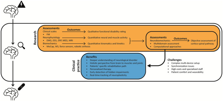 Neural control meets biomechanics in the motor assessment of neurological disorders: a narrative review.