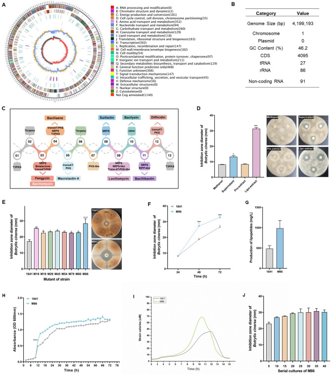 Improving the bacillomycin L production in Bacillus amyloliquefaciens by atmospheric and room-temperature plasma combined with Box-Behnken design.