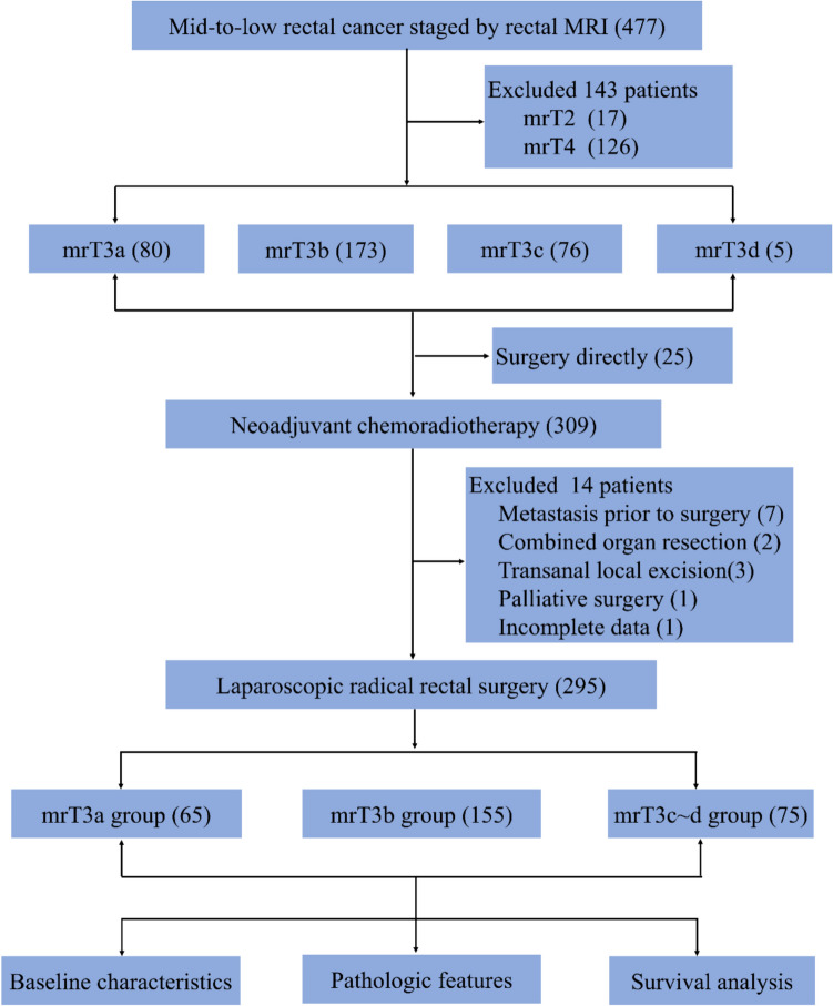 Clinical characteristics and survival outcomes of rectal cancer patients across different mrT3 substages determined by rectal MRI.