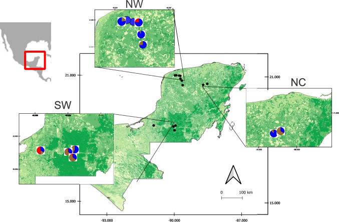 Study of parasitic fauna of three species of deer occurring in southeastern Mexico.