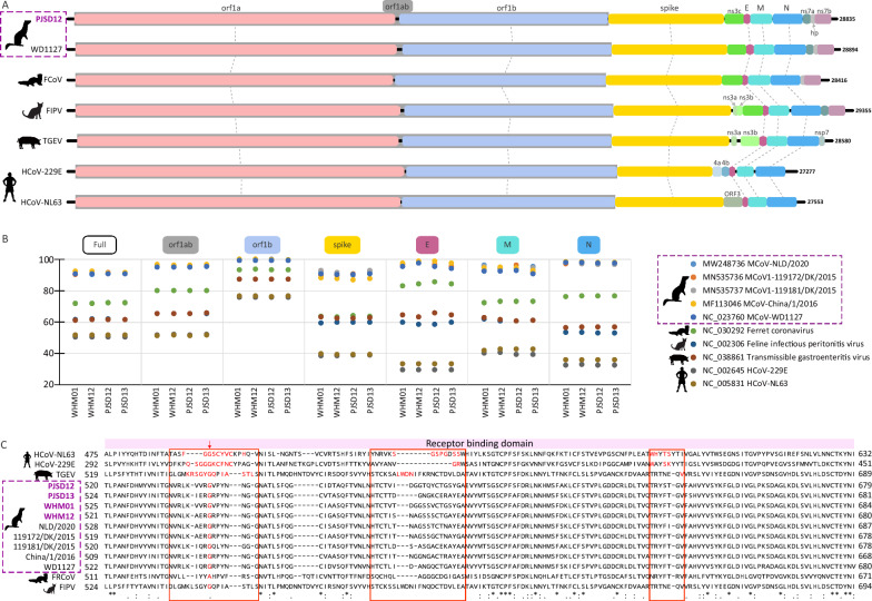Enteric viromes of healthy farmed mink (Neovison vison) from Shandong and Liaoning provinces, China.