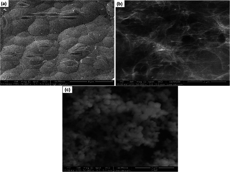 A label-free electrochemical immunosensor on gold-printed electrode for the electrochemical detection of C-reactive protein from blood samples.