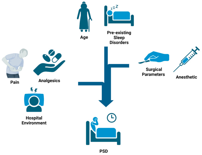Causes and Effects of Postoperative Sleep Disorders and Treatment Strategies for Preoperative, Intraoperative, and Postoperative Settings-A Narrative Review.