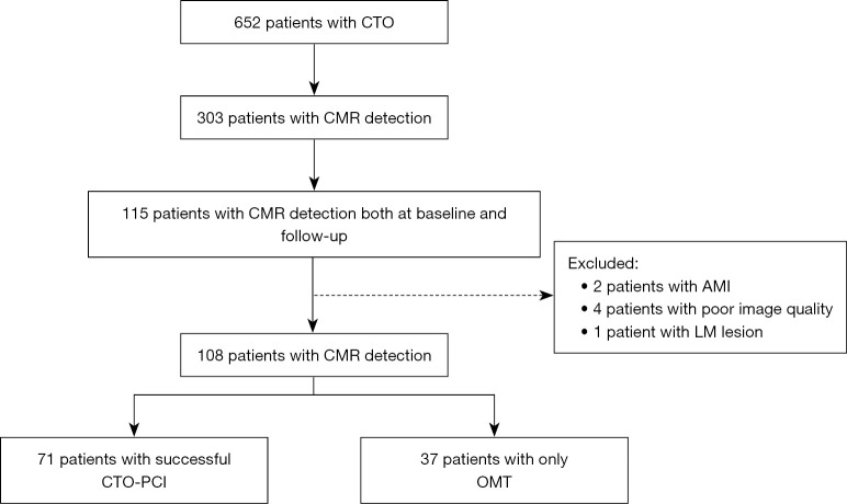 Cardiac magnetic resonance follow-up of myocardial function in patients with chronic total occlusion of the coronary arteries: a retrospective cohort study.