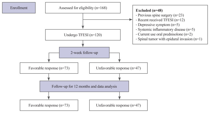 Clinical and radiographic predictive factors for the favorable outcome of lumbar epidural steroid injection in lumbosacral radiculopathy: a prospective analytical study from Thailand.