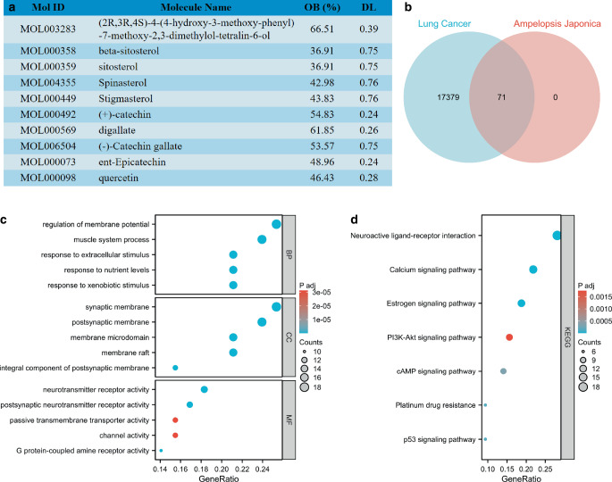 Ampelopsis japonica enhances the effect of radiotherapy in non-small cell lung cancer.