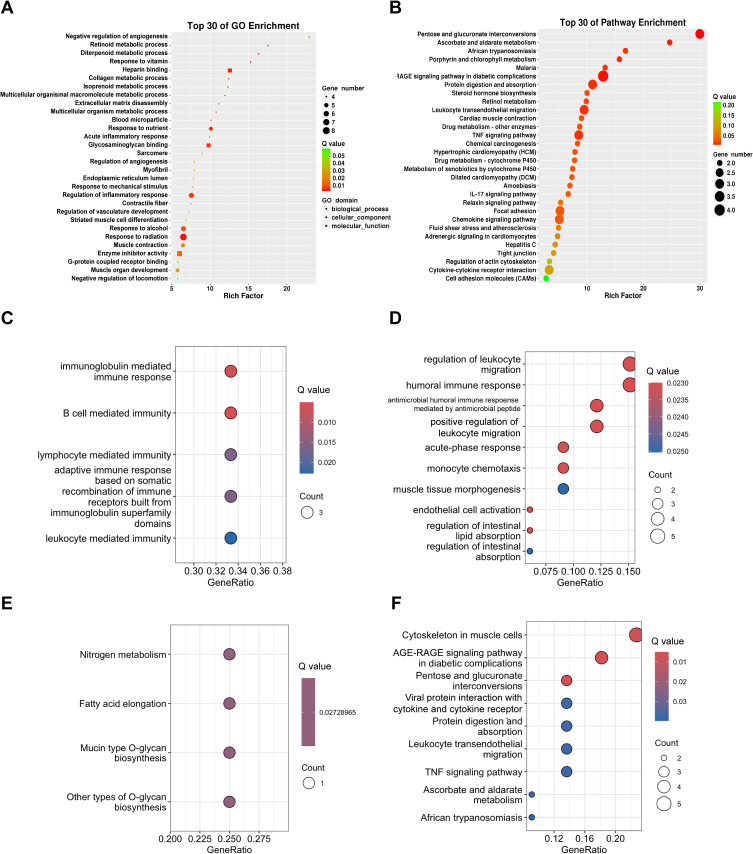 Transcriptomic Changes and Pathological Mechanisms in Familial and Sporadic Idiopathic Restless Legs Syndrome: Implications for Inflammation and Cell Adhesion Molecules.