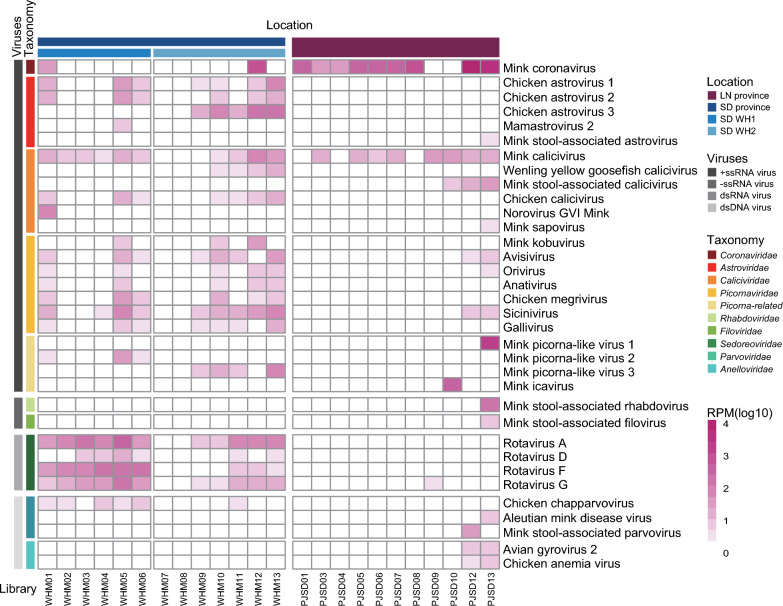 Enteric viromes of healthy farmed mink (Neovison vison) from Shandong and Liaoning provinces, China.