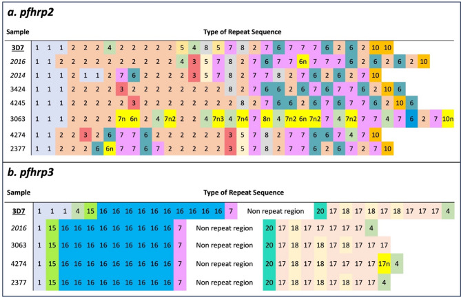 Cryptic absence and genetic variation of Plasmodium falciparum PfHRP2 and PfHRP3 from isolates in Papua, Indonesia.