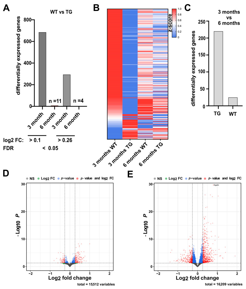 Role of Compensatory miRNA Networks in Cognitive Recovery from Heart Failure.