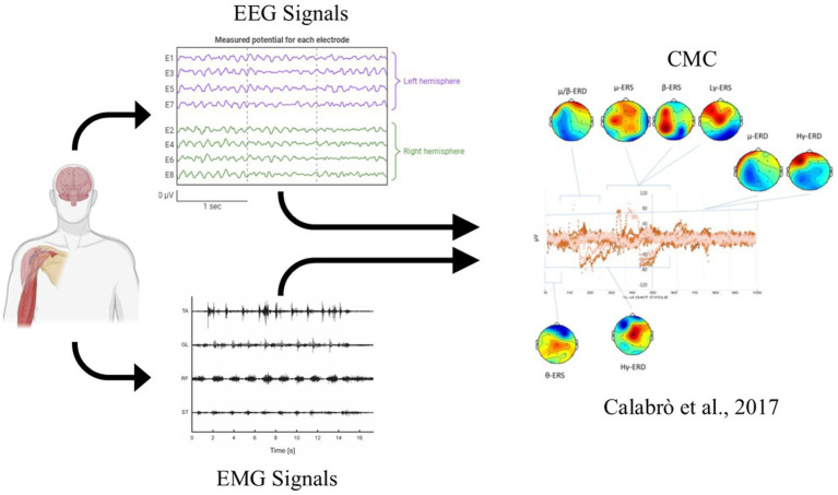 Neural control meets biomechanics in the motor assessment of neurological disorders: a narrative review.