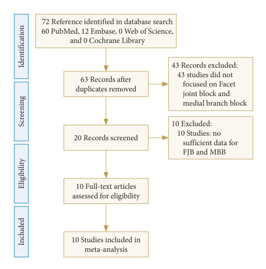 Effectiveness of a Facet Joint Block Versus a Medial Branch Block in Spinal Pain Management: A Systematic Review and Meta-Analysis.