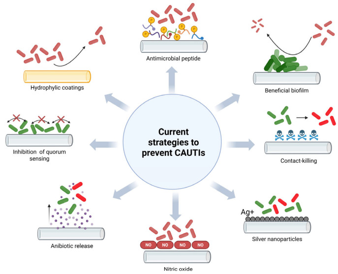 A Comprehensive Review of Progress in Preventing Urinary Infections Associated with the Use of Urinary Catheters: A Dual Analysis of Publications and Patents.