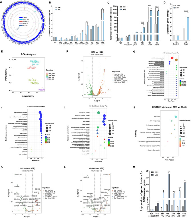 Improving the bacillomycin L production in Bacillus amyloliquefaciens by atmospheric and room-temperature plasma combined with Box-Behnken design.