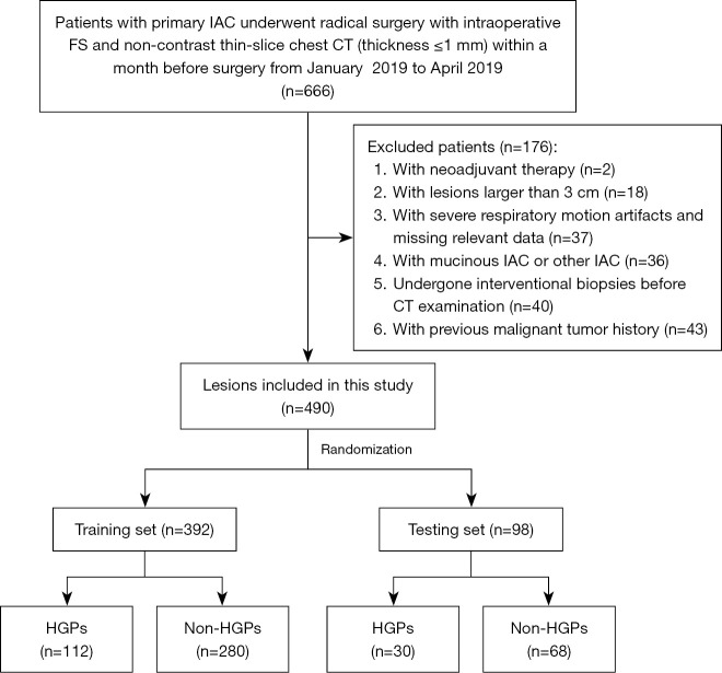 Enhancing the intraoperative identification of high-grade patterns in invasive lung adenocarcinoma via radiomics.