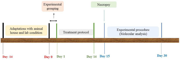 Protective effects of curcumin/magnesium oxide nanoparticles on ketamine-induced neurotoxicity in the mouse hippocampus.