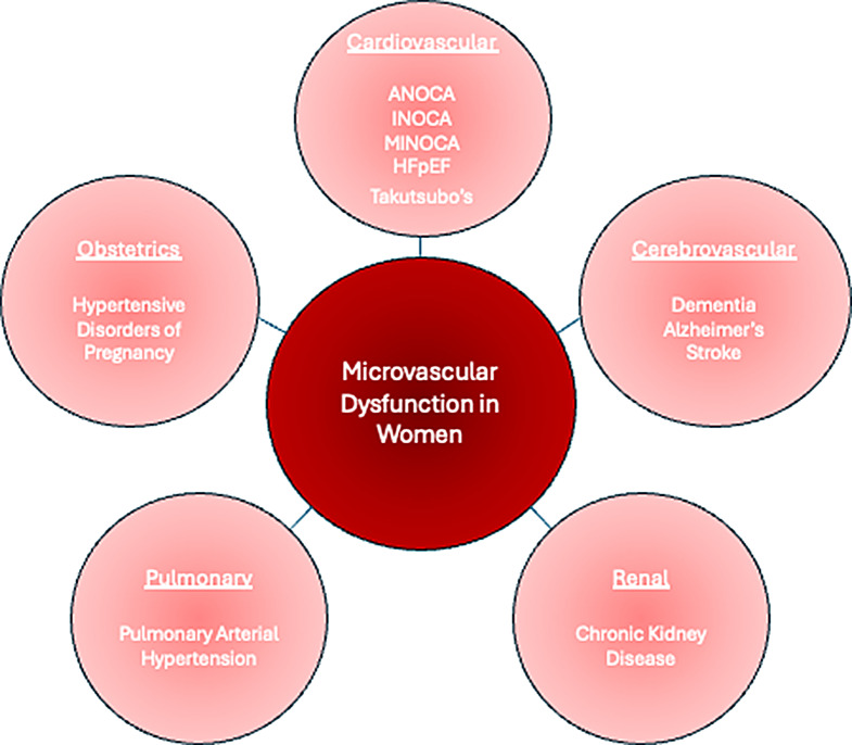Examining the Disproportionate Burden of Microvascular Disease in Women.