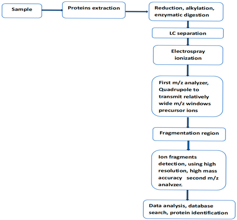 Isoforms of Phosphorylated Tau as Potential Biomarkers for Alzheimer's Disease: The Contribution of Mass Spectrometry-Based Proteomics.