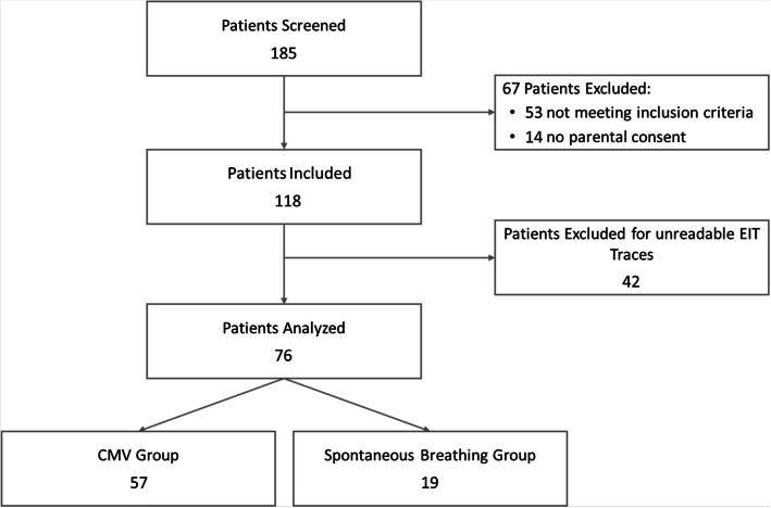 Patterns of lung aeration assessed through electrical impedance tomography in paediatric patients undergoing elective surgery: insights from a prospective and observational data-registry.