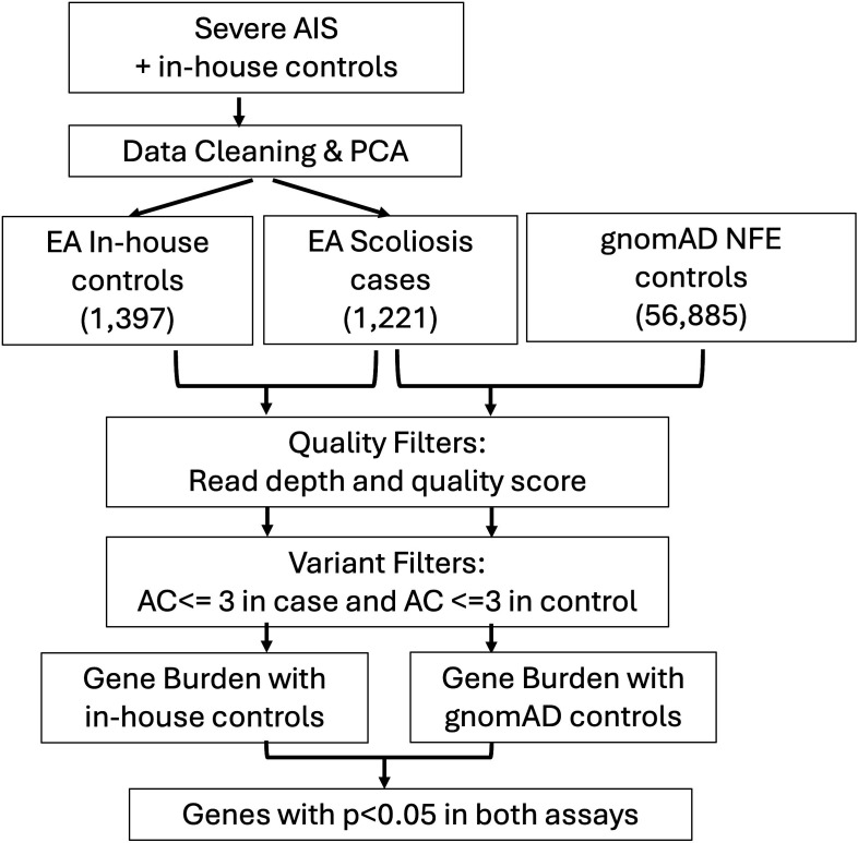 Rare missense variants in <i>FNDC1</i> are associated with severe adolescent idiopathic scoliosis.
