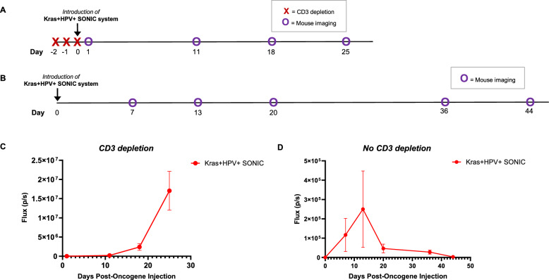 Generation of a spontaneous murine HPV + oral cancer model with site-specific oncogene insertion using CRISPR-SONIC.
