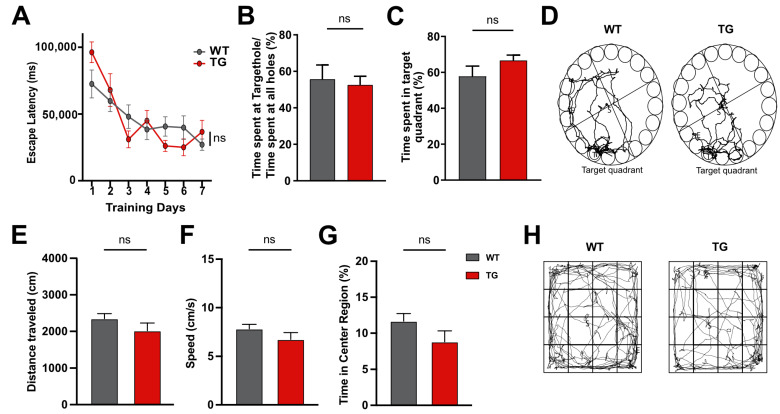 Role of Compensatory miRNA Networks in Cognitive Recovery from Heart Failure.