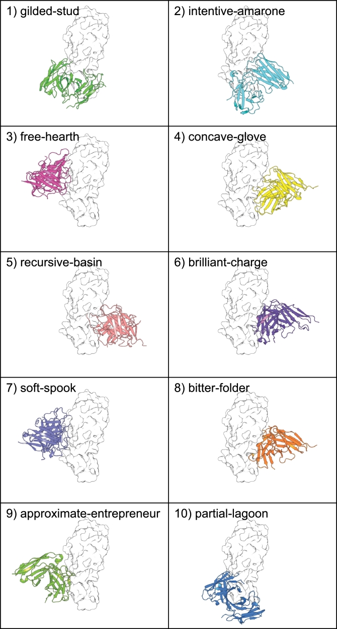 AI-based antibody design targeting recent H5N1 avian influenza strains.