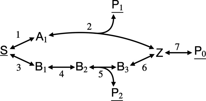 A Trade-off between Force and Flow May Lead to Reduced Entropy Production Rate during Faster Microbial Growth.