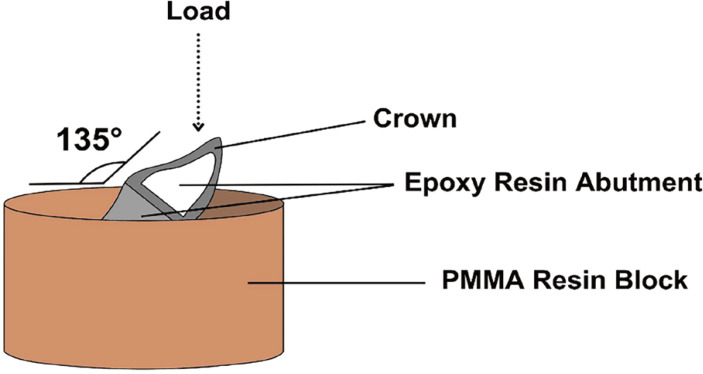 Effect of thermomechanical aging on fracture strength of anterior crowns fabricated with different CAD-CAM materials.