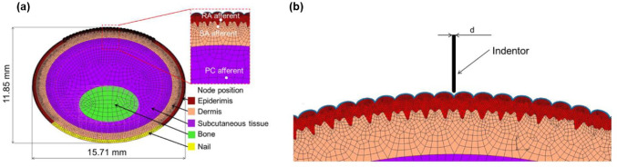 A review on finite element modelling of finger and hand mechanical behaviour in haptic interactions