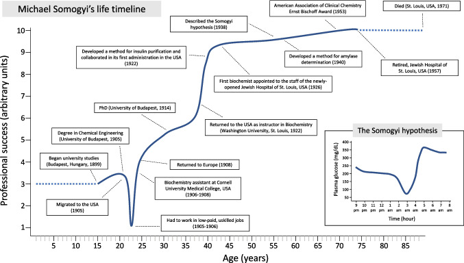 The Somogyi hypothesis: a parallelism with Michael Somogyi's life.