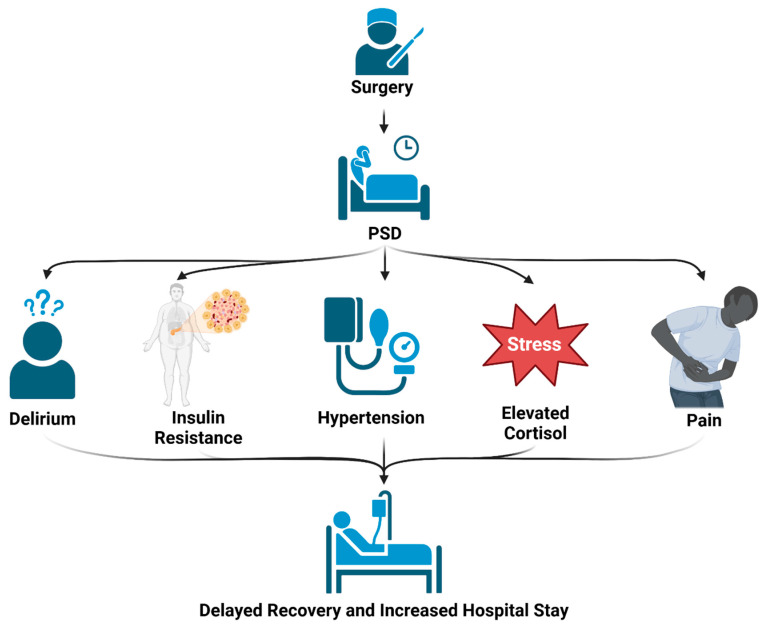 Causes and Effects of Postoperative Sleep Disorders and Treatment Strategies for Preoperative, Intraoperative, and Postoperative Settings-A Narrative Review.