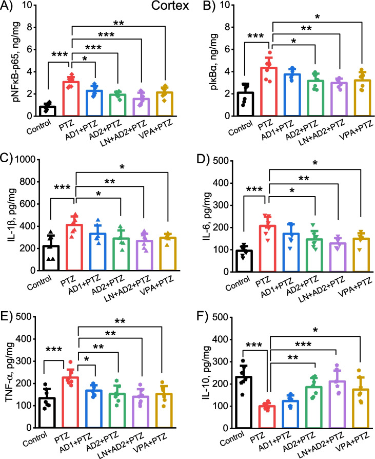 Adropin ameliorates behavioral seizures and the relevant neuroinflammation, oxidative stress, and neural damage in a rat model of pentylenetetrazole-induced seizure potentially by reducing the activation of NF-κB/IkB-α signaling pathway.