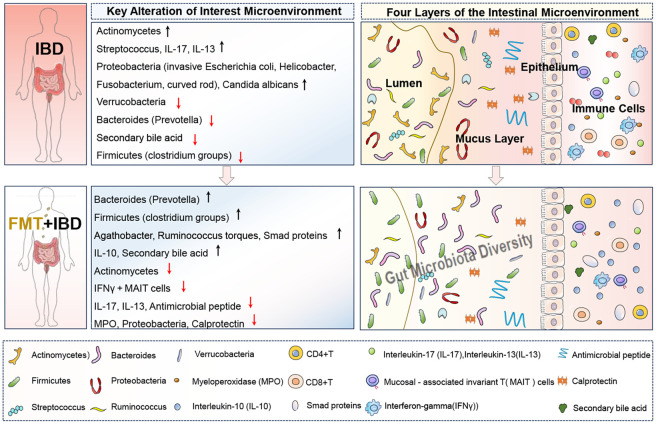 The current landscape of fecal microbiota transplantation in treating inflammatory bowel disease.