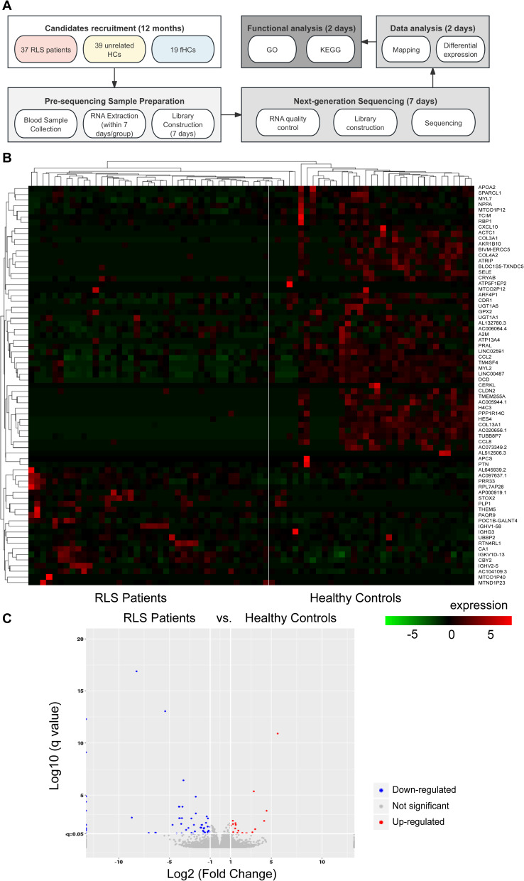 Transcriptomic Changes and Pathological Mechanisms in Familial and Sporadic Idiopathic Restless Legs Syndrome: Implications for Inflammation and Cell Adhesion Molecules.