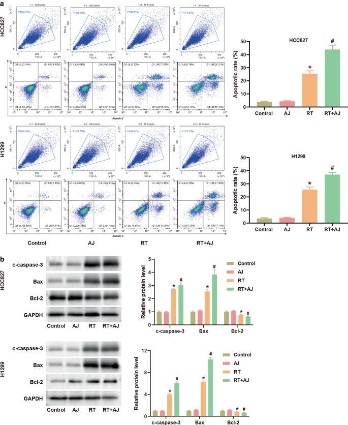 Ampelopsis japonica enhances the effect of radiotherapy in non-small cell lung cancer.