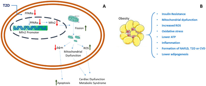 Editorial: Metabolic syndrome in patients with diabetes: identification of biomarkers.