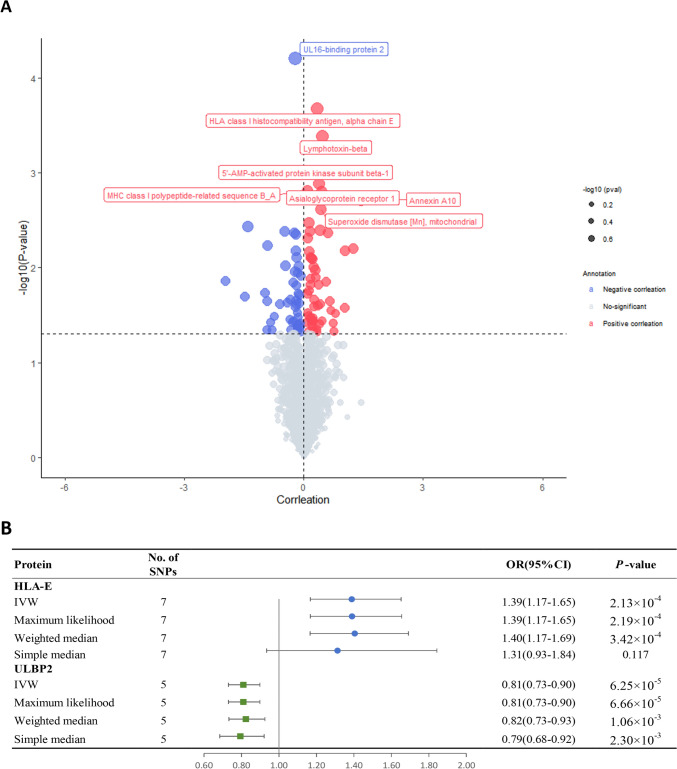 Plasma proteins and herpes simplex virus infection: a proteome-wide Mendelian randomization study.