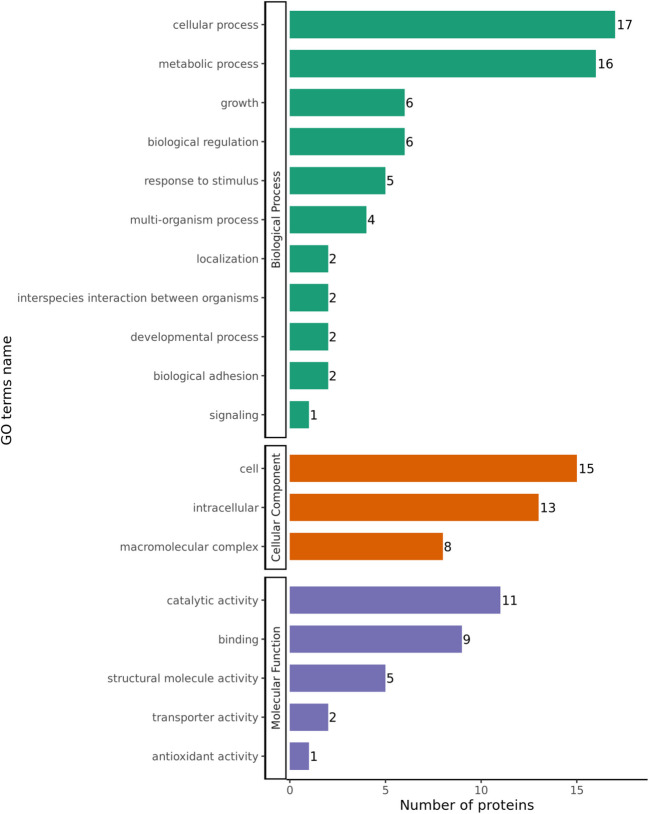 Phosphoproteomics analysis of acid stress response of Alicyclobacillus acidoterrestris in response to acid stress.