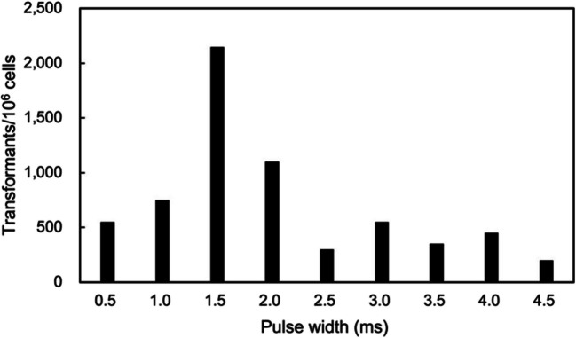 Genetic Transformation of the Marine Oleaginous Microalga, Marinichlorella sp. NKG400014.