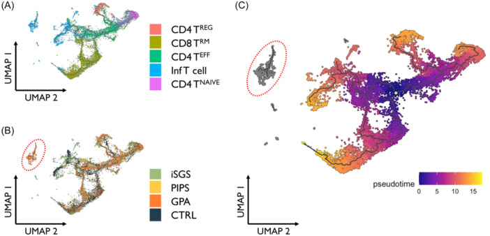 Characterizing the Cellular Constituents of Proximal Airway Disease in Granulomatosis With Polyangiitis.