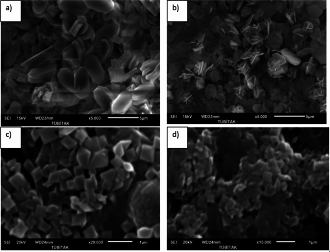 In-vitro and In-silico evaluation of the inhibitory effects of Persea americana leaf extract against calcium oxalate stones.
