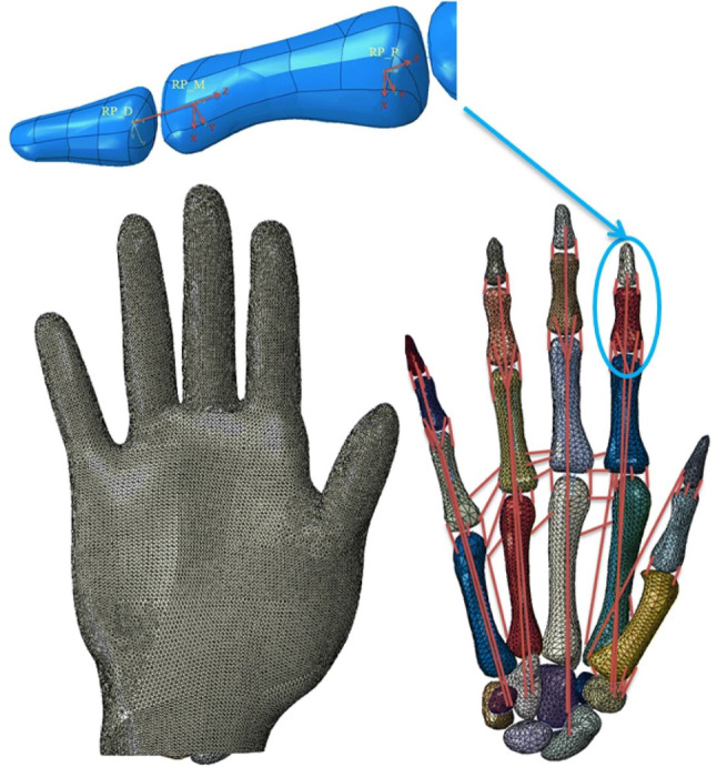 A review on finite element modelling of finger and hand mechanical behaviour in haptic interactions