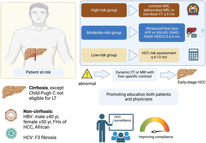 Current and new strategies for hepatocellular carcinoma surveillance.